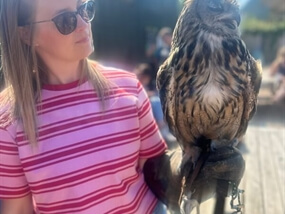 Customer Photo of Birds of Prey North Somerset